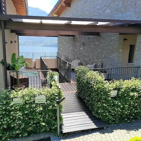 Orchidea Apartman